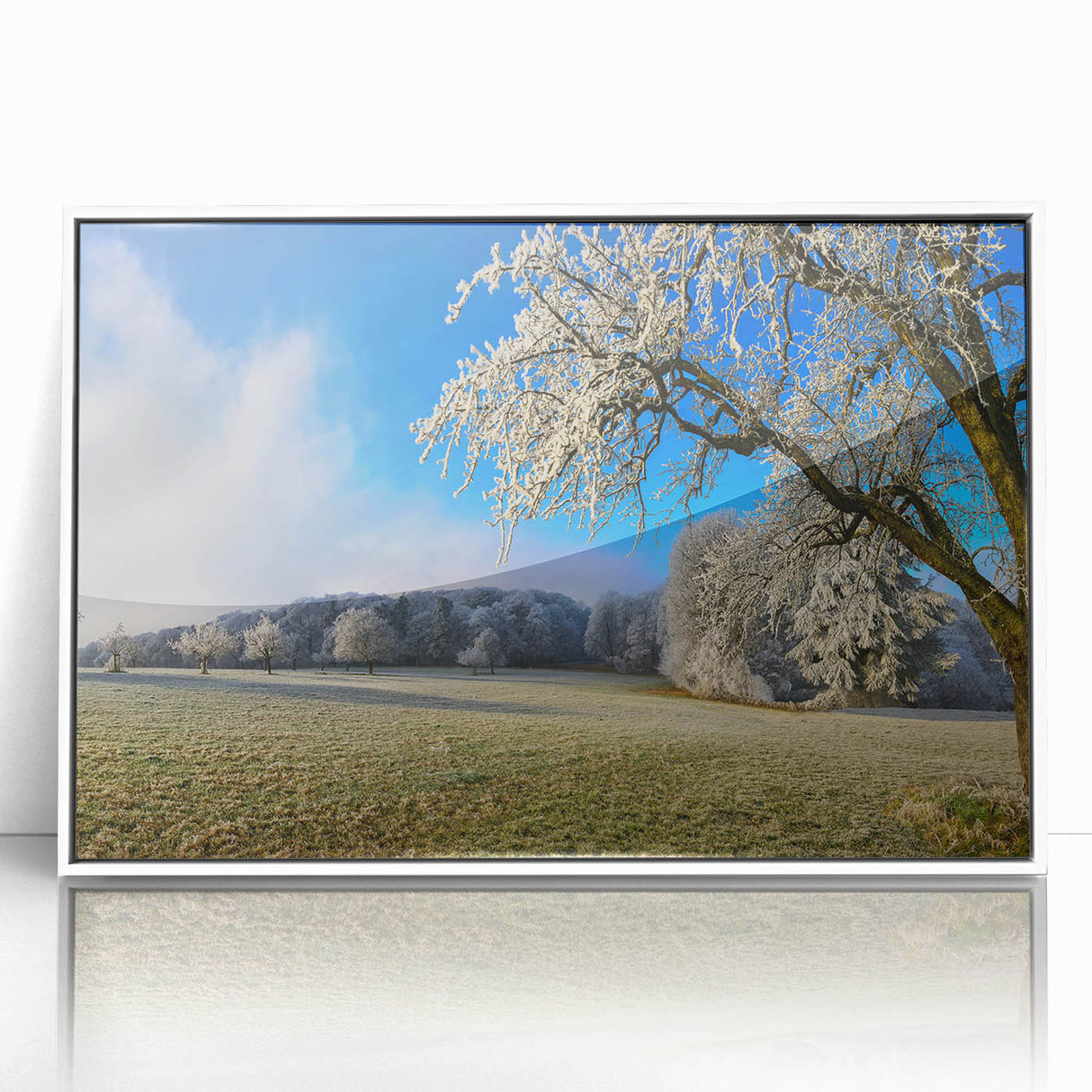 Framed wall art collection showcasing vibrant landscape fields design in acrylic finish, featuring a sleek white frame, perfect for home decor enhancement.