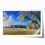 Vibrant rolled print of abstract landscapes and fields, showcasing rich colors and intricate details, ideal for home decor and artistic interior design.