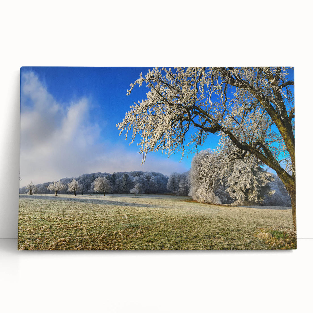 Stretched canvas wall art featuring a vibrant landscape field design, showcasing a blend of greens and yellows, ideal for modern home decor. Perfect for adding a natural touch to living spaces.