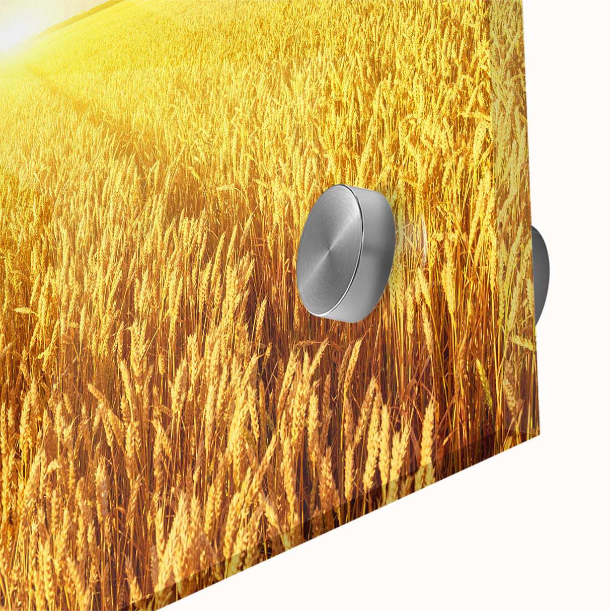 Close-up of a vibrant acrylic glass wall art piece showcasing a serene landscape field design, emphasizing rich colors and intricate textures ideal for home decor. Perfect for enhancing living spaces with nature-inspired aesthetics.