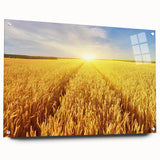 Vibrant acrylic glass wall art featuring a scenic landscape of rolling fields, beautifully framed with pins, ideal for enhancing home decor with nature-inspired elegance.