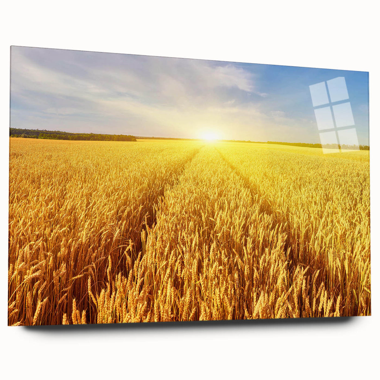 Acrylic glass wall art showcasing a serene landscape with vibrant green fields and a clear blue sky, designed for modern home decor. Ideal for enhancing living spaces.
