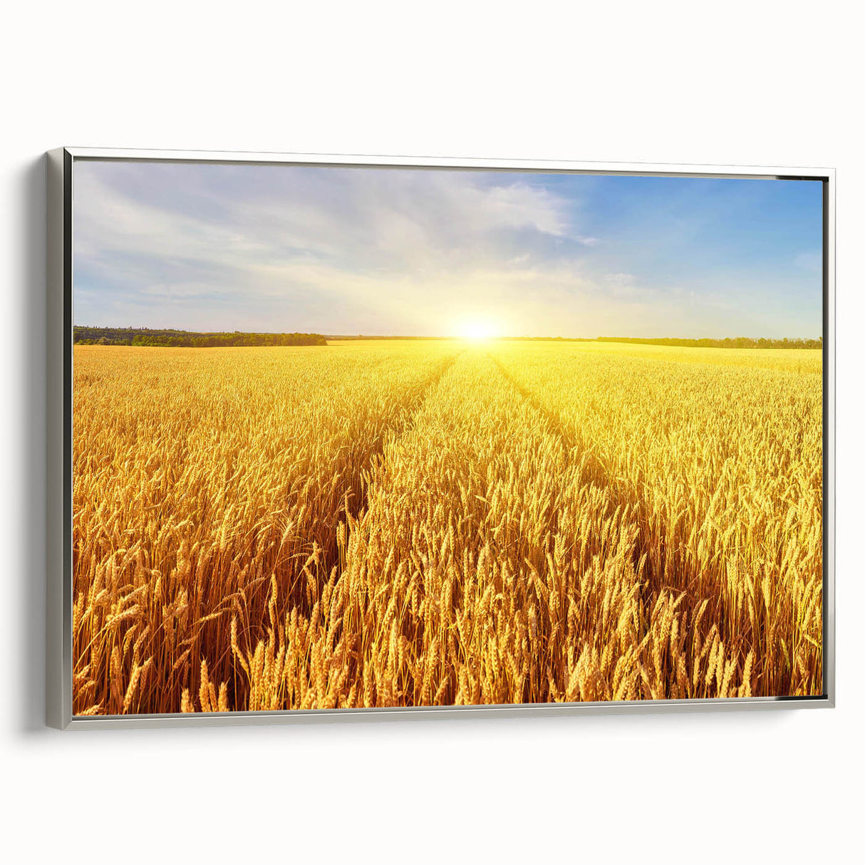 Elegant framed canvas wall art showcasing a serene landscape of golden fields under a bright blue sky, accented with a sleek silver frame, perfect for home decor.