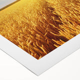 Vibrant rolled canvas wall art showcasing a scenic landscape of fields under a blue sky, perfect for home decor and enhancing interior aesthetics.