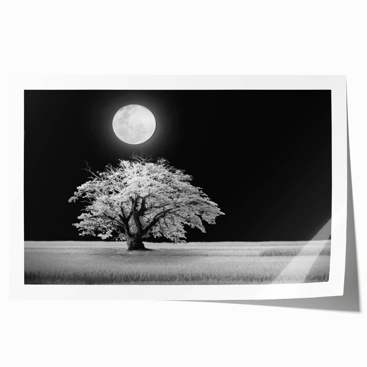Vibrant rolled print showcasing a serene landscape with rolling fields and soft pastel colors, ideal for home decor, packaged securely for delivery.