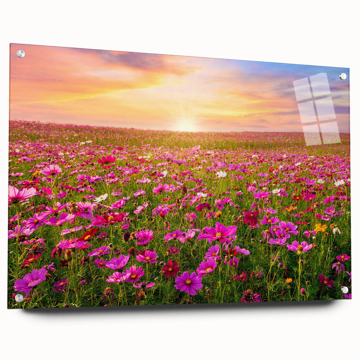Acrylic glass wall art collection showcasing a vibrant landscape design with colorful fields, displayed in a modern setting with decorative pins for mounting.
