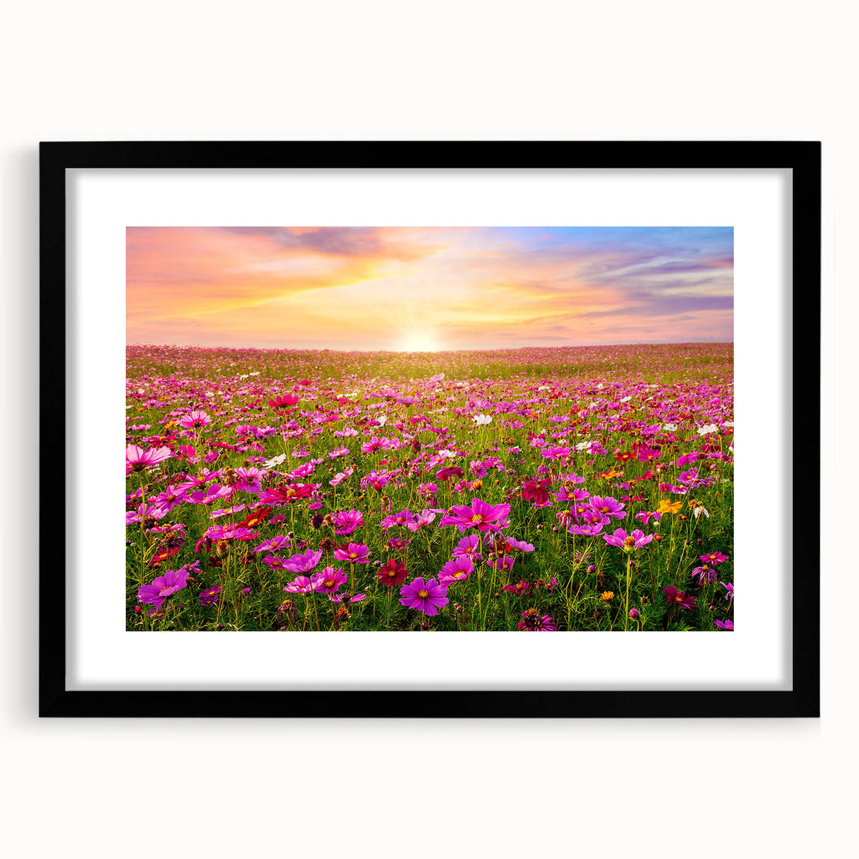 Framed wall art collection showcasing a vibrant landscape design with fields, presented in a sleek black frame with a white mat, ideal for modern decor.