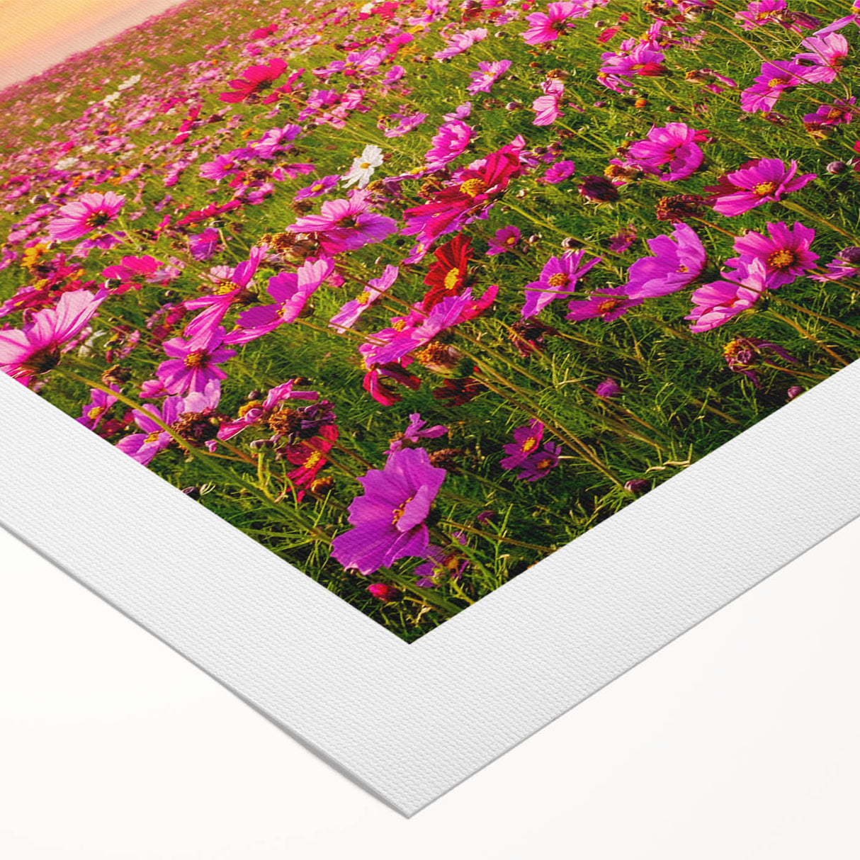 Vibrant rolled canvas featuring a serene landscape design with lush green fields and a clear blue sky, perfect for enhancing home decor and atmosphere.