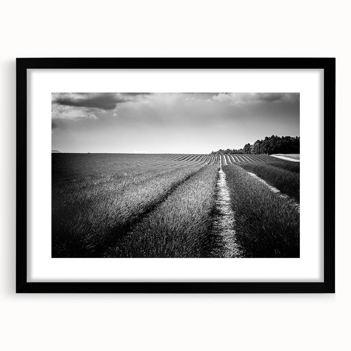 Framed black wall art featuring a serene landscape of rolling green fields, elegantly matted to enhance depth, ideal for modern home decor.