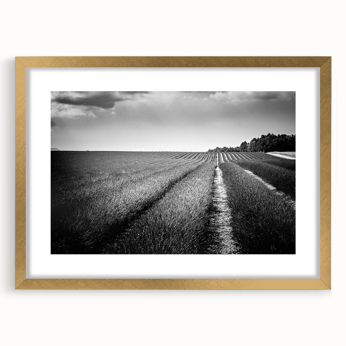 Framed wall art collection showcasing serene landscapes and fields in soft earth tones, featuring a gold mat and ornate frame, perfect for home decor enhancement.
