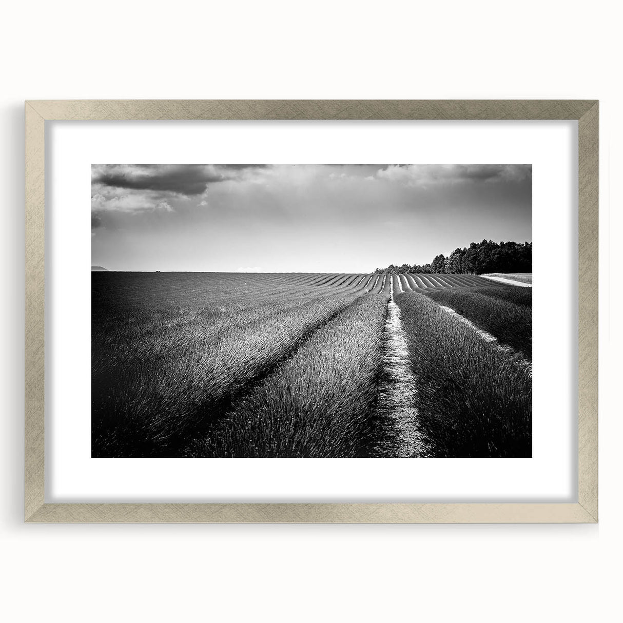 Framed landscape wall art collection featuring vibrant fields and nature scenes, presented in a stylish silver frame with a mat, ideal for home decor enhancement.