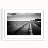 Framed wall art collection showcasing a vibrant landscape field design with a white mat, perfect for home decor. Ideal for adding a touch of nature to living spaces.