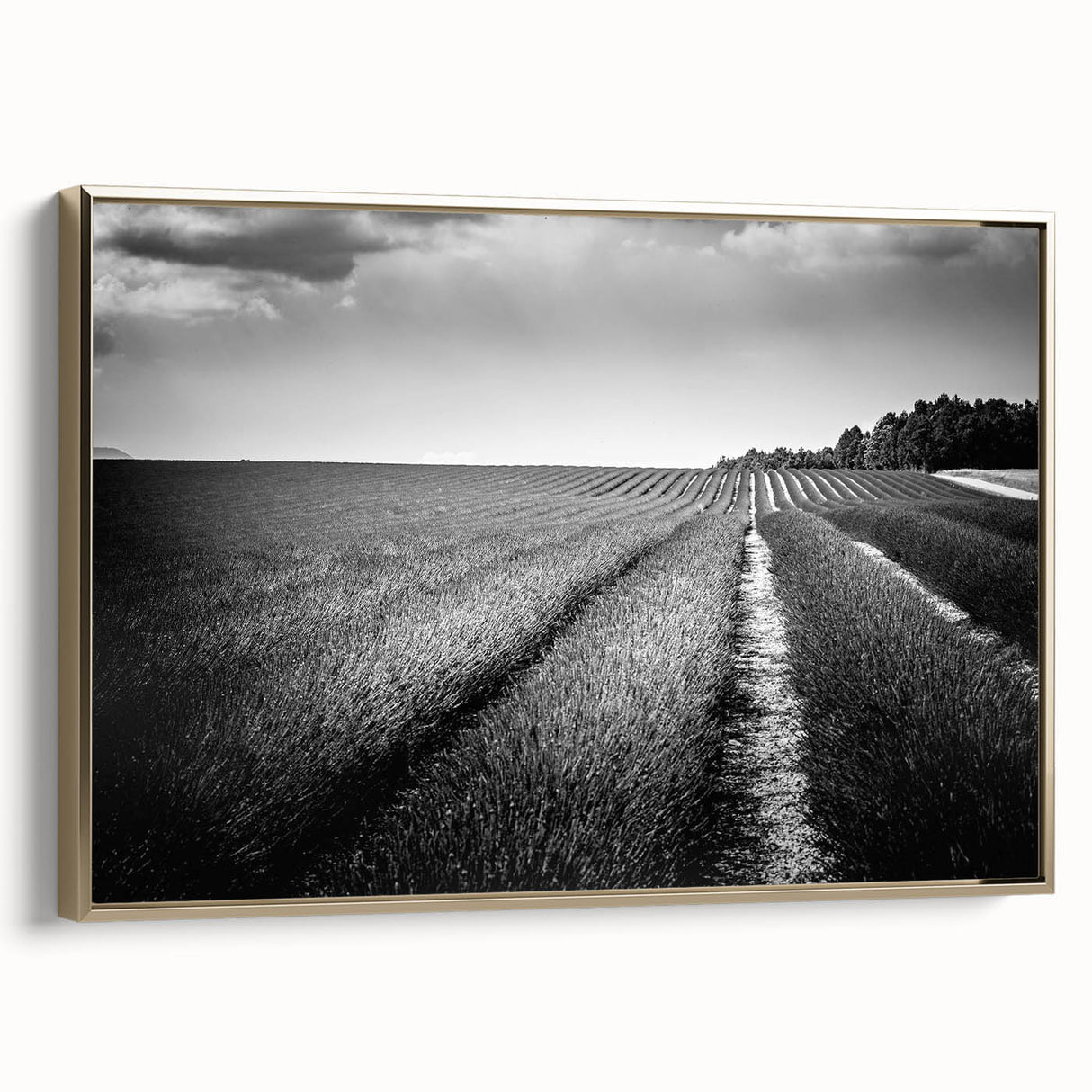Framed canvas wall art featuring a serene landscape of golden fields, highlighted by rich textures and elegant framing, perfect for home decor.