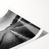 Vibrant landscape fields wall art print showcasing lush green valleys and rolling hills, rolled for shipping in protective packaging, perfect for home decor.