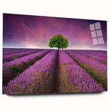 Acrylic wall art collection showcasing vibrant landscapes and fields, displayed in a side view without pins, perfect for modern home decor.
