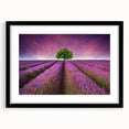 Framed wall art collection showcasing a vibrant landscape design with fields, presented in a sleek black frame and mat, perfect for home decor enhancement.