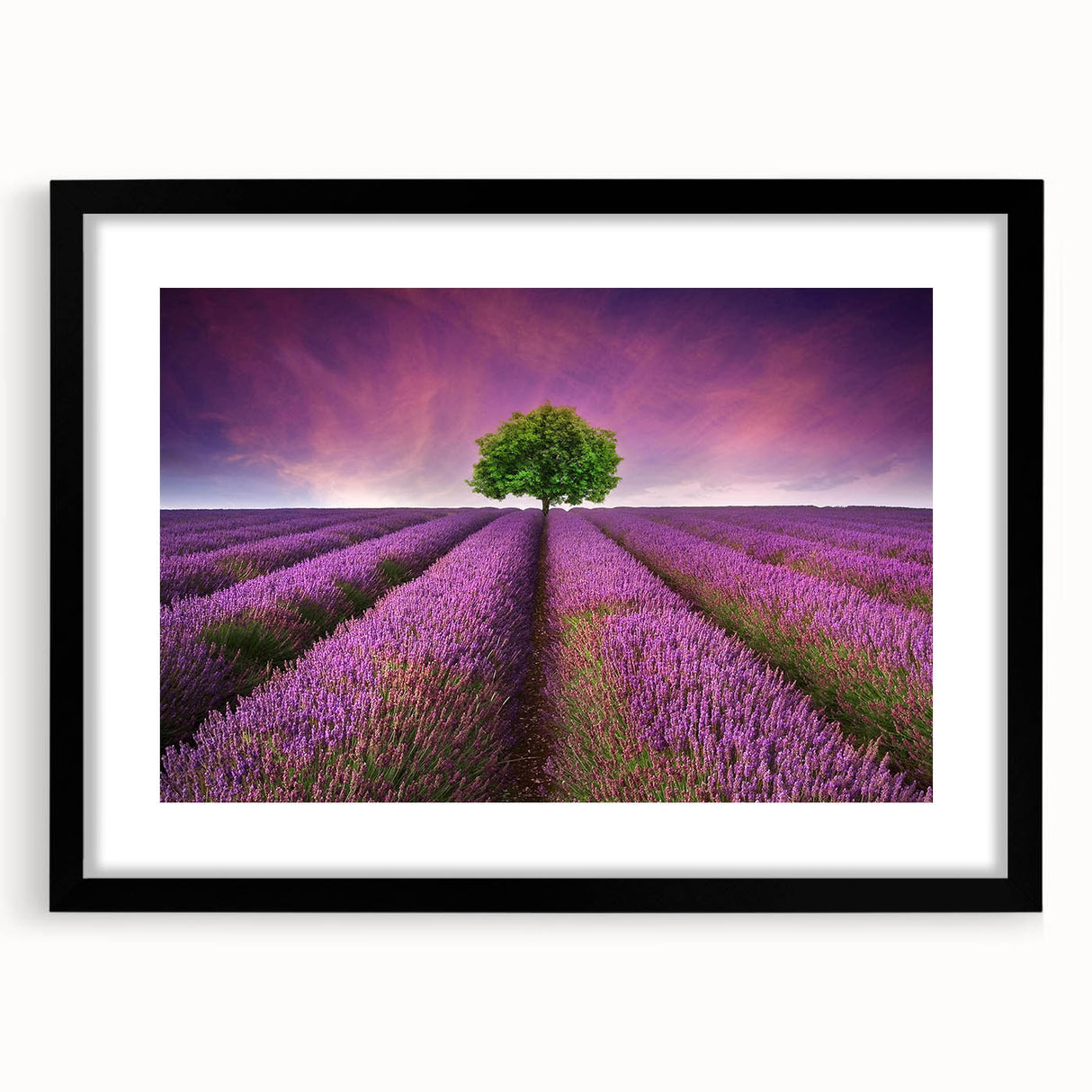 Framed wall art collection showcasing a vibrant landscape design with fields, presented in a sleek black frame and mat, perfect for home decor enhancement.