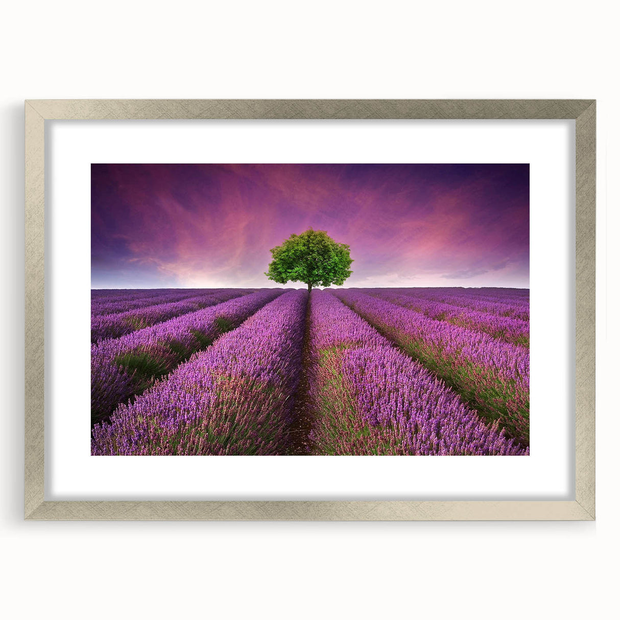 Framed wall art collection showcasing serene landscape fields in soft colors, featuring a silver mat and frame, ideal for home decor and modern interiors.