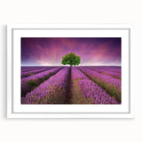 Framed wall art collection showcasing vibrant landscape fields design, featuring a white mat and sleek frame, perfect for home or office decor.