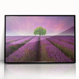 Framed wall art collection showcasing vibrant landscapes and fields design, featuring a sleek black frame and acrylic finish, perfect for modern home decor.