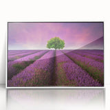 Framed acrylic wall art featuring a serene landscape design with vibrant green fields, white frame, and contemporary aesthetic, ideal for home decor.