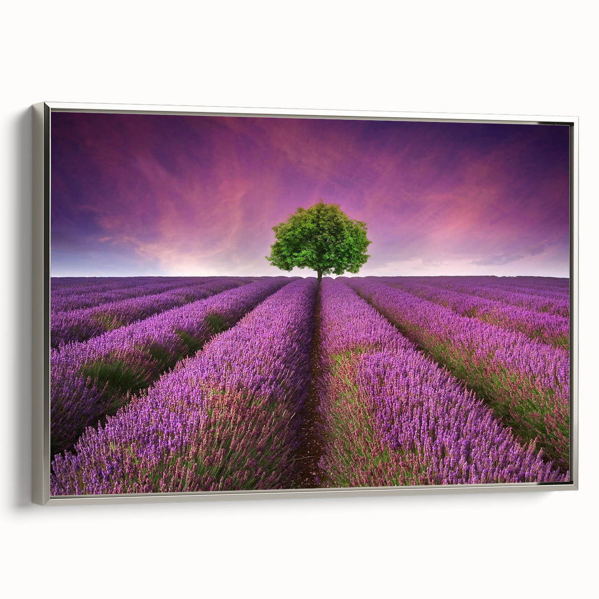 Framed canvas wall art collection showcasing serene landscape fields with vibrant colors, elegantly displayed with a silver frame, adding a modern touch to home decor.