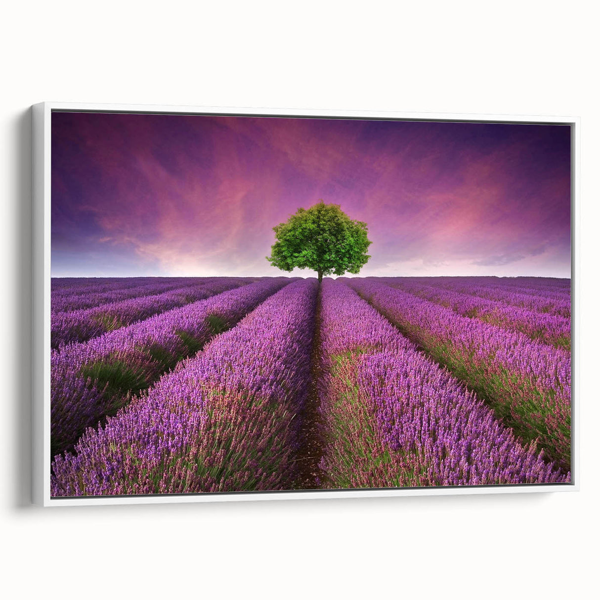 Framed canvas wall art featuring a serene landscape of rolling fields in soft pastel colors, displayed from a white side view, ideal for home decor.