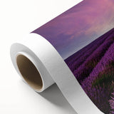 Vibrant rolled canvas showcasing a serene landscape with lush green fields and a clear blue sky, ideal for home decor. Perfect for adding a touch of nature to any space.
