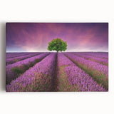 Stretched canvas wall art showcasing a vibrant landscape design with fields and trees, featuring rich colors and a modern aesthetic, perfect for home decor.
