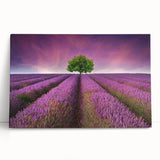 Stretched canvas wall art showcasing vibrant landscapes and fields design, leaning against a wall, perfect for home decor and interior design enhancement.