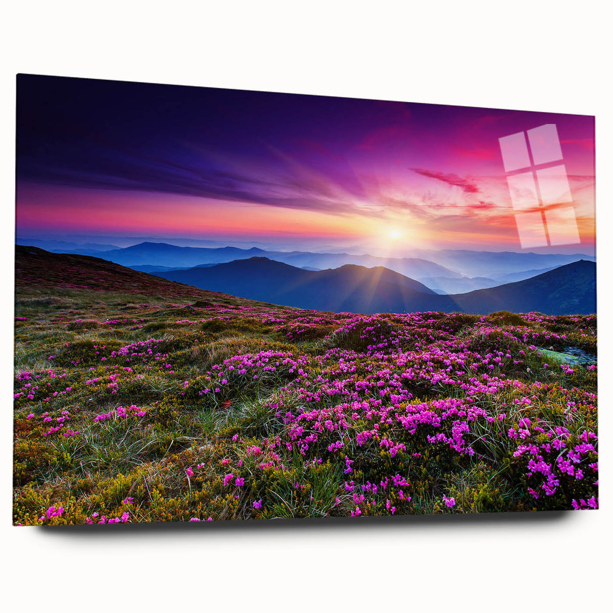 Acrylic glass wall art collection displaying vibrant landscape fields design in a modern setting, highlighting rich colors and intricate details, ideal for home decor.