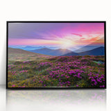 Framed acrylic wall art showcasing a vibrant landscape field design, featuring a black frame, perfect for enhancing modern home decor. Ideal for art enthusiasts seeking unique interior accents.