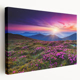 Stretched canvas wall art showcasing a serene landscape of golden fields under a blue sky, perfect for home decor with a natural theme. Ideal for adding a tranquil touch to living spaces.