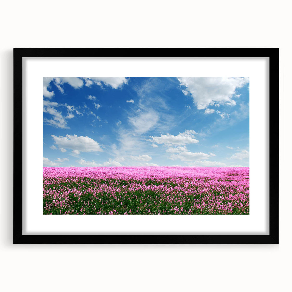 Framed wall art collection featuring serene landscape fields with a black mat and sleek black frame, ideal for modern home decor and aesthetic enhancement.