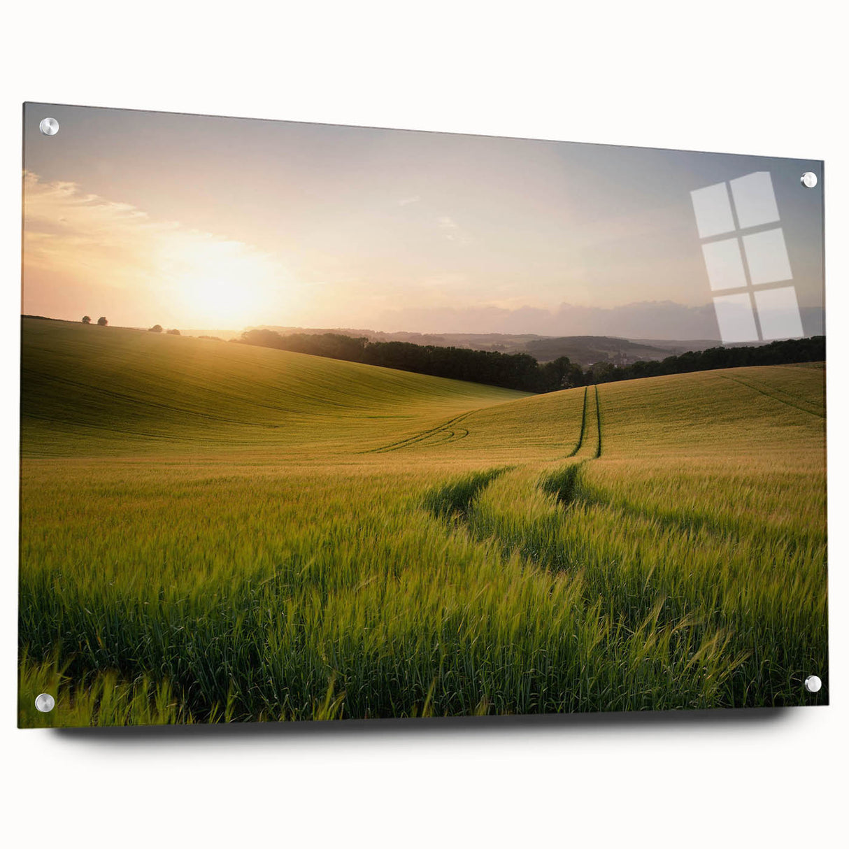 Acrylic glass wall art collection showcasing a vibrant landscape design with colorful fields, displayed in a side view with decorative pins, perfect for modern decor.