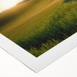 Rolled canvas artwork showcasing a vibrant landscape with fields and trees, designed for home decor. The piece features rich colors and intricate details, perfect for enhancing any room's aesthetic.