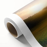 Vibrant rolled canvas artwork showcasing a stunning landscape field design, featuring rich greens and golden hues, perfect for home decor or gallery display.