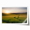 Vibrant rolled canvas print showcasing a serene landscape field design, featuring lush green fields under a clear blue sky, ideal for home decor.