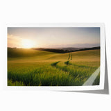Vibrant rolled canvas print showcasing a serene landscape field design, featuring lush green fields under a clear blue sky, ideal for home decor.