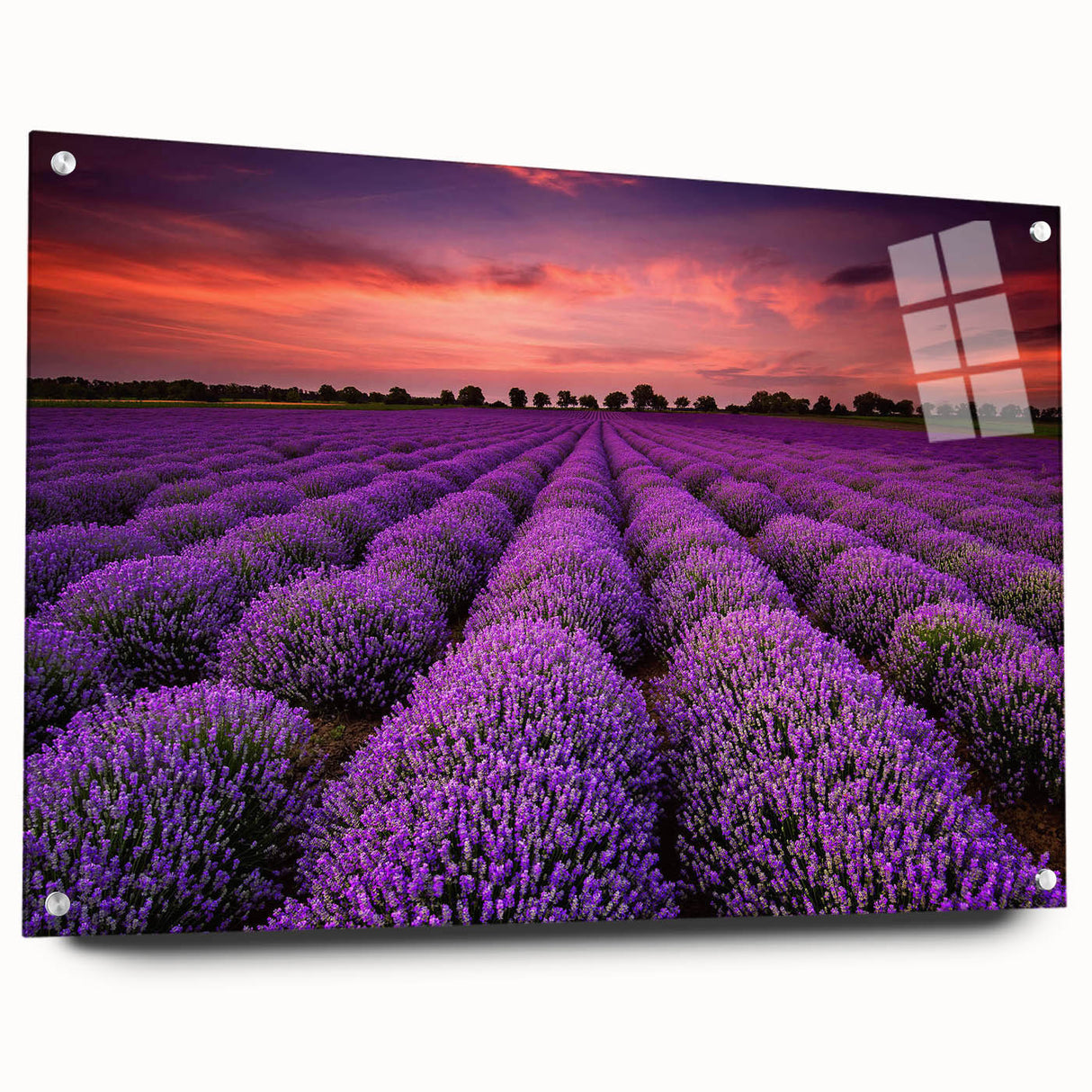 Acrylic glass wall art featuring a vibrant landscape design with fields and greenery, displayed from a side view with decorative pins, ideal for modern home decor.