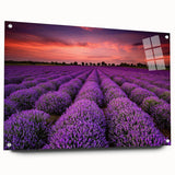 Acrylic glass wall art featuring a vibrant landscape design with fields and greenery, displayed from a side view with decorative pins, ideal for modern home decor.