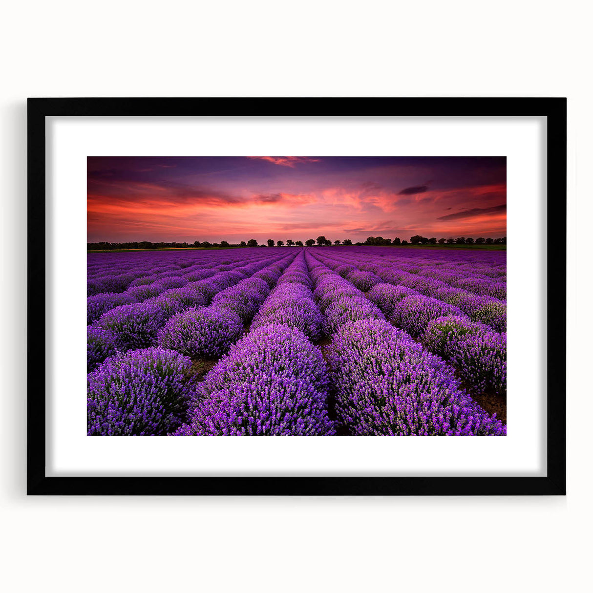 Framed black wall art featuring a serene landscape design with fields and hills, elegantly matted for a polished look, perfect for enhancing home decor.