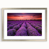 Framed landscape wall art collection featuring vibrant fields design, elegantly presented in a silver frame with a mat for a polished look, ideal for home decor.
