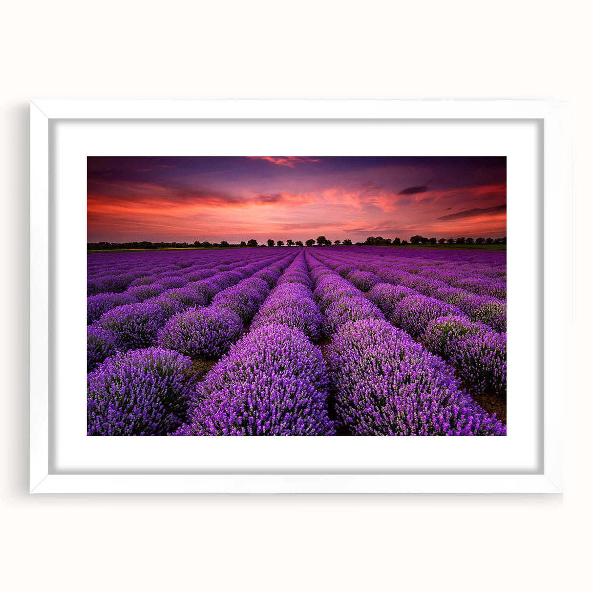 Framed wall art featuring a serene landscape with fields, presented in a white mat and frame, ideal for home decor and interior design accents.