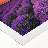 Rolled canvas showcasing a vibrant landscape fields design, featuring lush green fields and a serene sky, perfect for adding a natural touch to home decor.