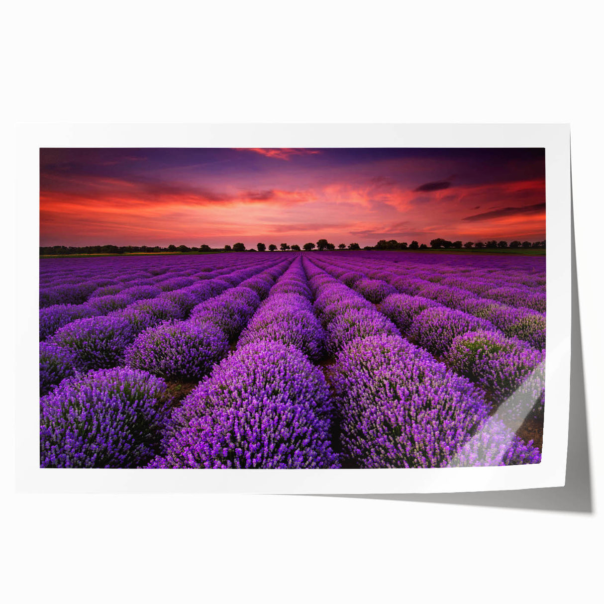 Vibrant landscape wall art print showcasing rolling green fields under a bright blue sky, designed for home decor. Perfect for adding a serene touch to any room.