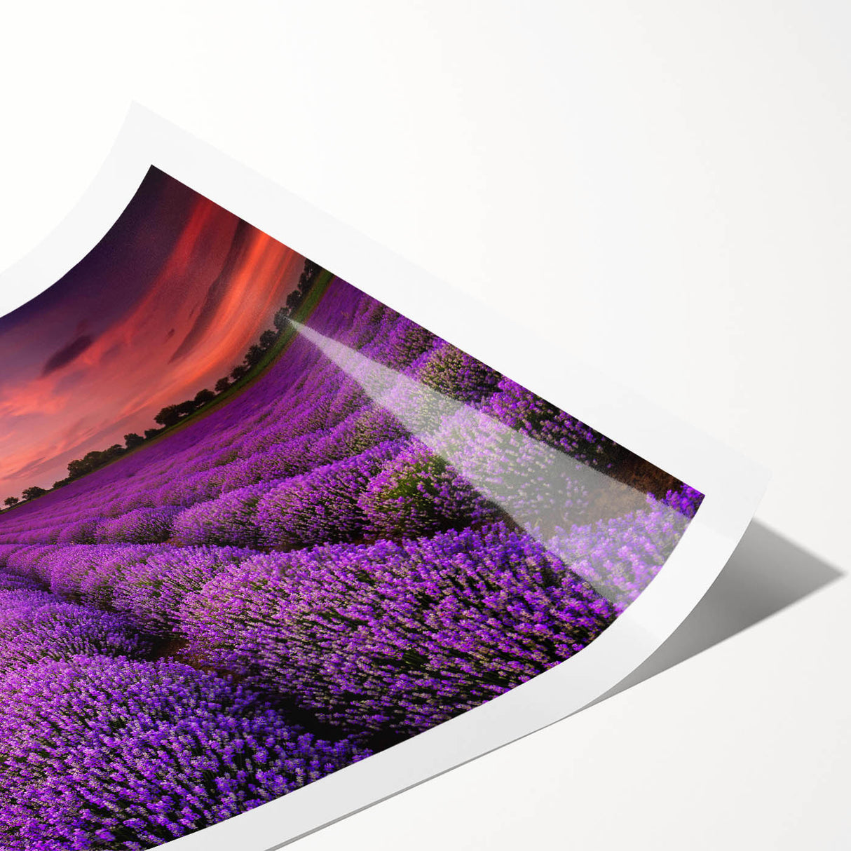 Vibrant landscape wall art print showcasing a serene field scene with rolling hills and a colorful sky, rolled for easy storage and display. Perfect for enhancing home decor.