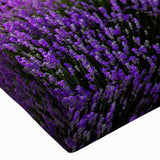 Close-up of a vibrant stretched canvas wall art piece showcasing a scenic landscape of lush green fields under a bright blue sky, perfect for modern home decor.