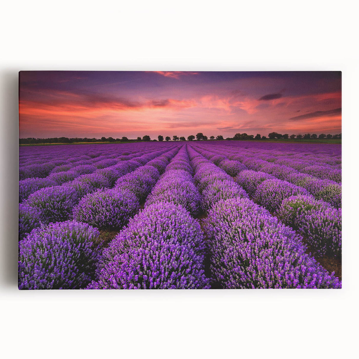 Stretched canvas wall art featuring a vibrant landscape design with fields and hills, ideal for home decor, showcasing rich colors and serene scenery.