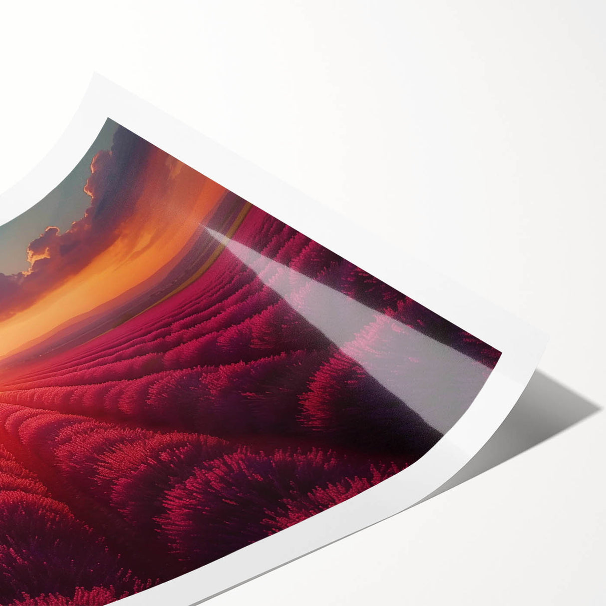 Vibrant rolled print of a serene landscape garden design, showcasing lush greenery and colorful flowers, ideal for home decor and art enthusiasts.